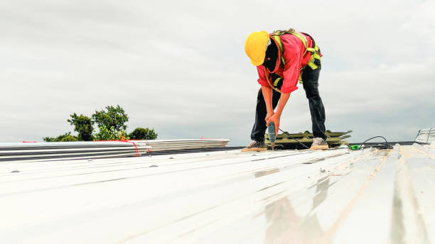 Steel Roofing in Lake Fenton, MI
