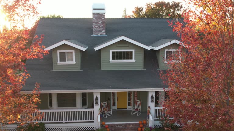 Best Emergency Roof Repair Services  in Lake Fenton, MI
