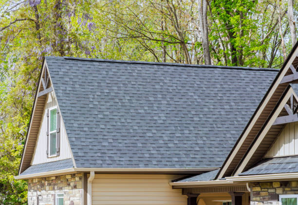 Best Roof Coating and Sealing  in Lake Fenton, MI
