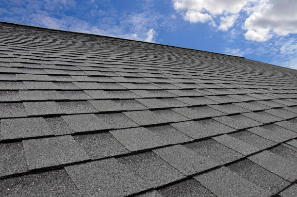 Best Hot Roofs  in Lake Fenton, MI