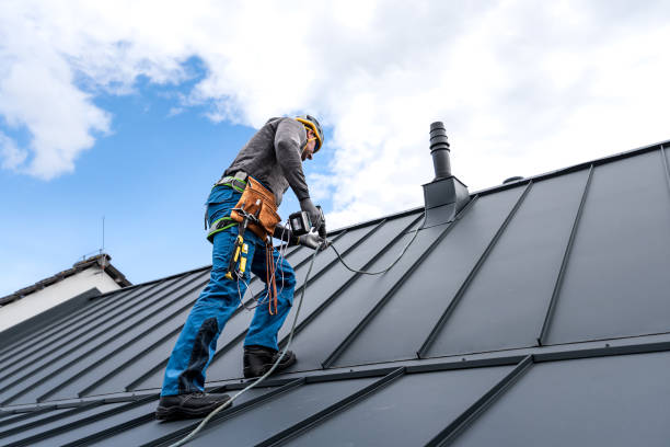 Best Sheet Metal Roofing  in Lake Fenton, MI