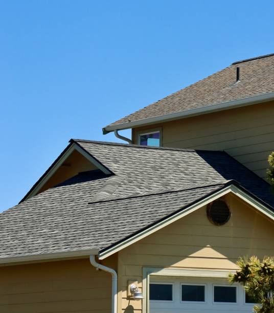 Best Roof Coating Services  in Lake Fenton, MI